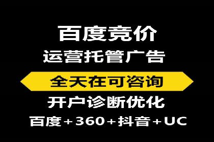 大数据分析在竞价广告中的应用